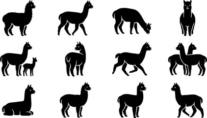 Fototapeta premium Alpaca silhouette icon set, flat black glyph style, pure white background