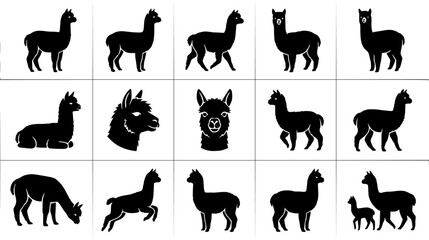 Fototapeta premium Alpaca silhouette icon set, flat black glyph style, pure white background