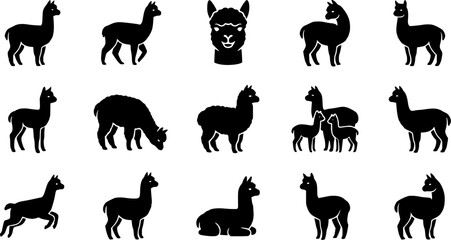 Fototapeta premium Alpaca silhouette icon set, flat black glyph style, pure white background
