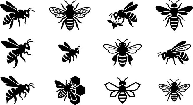 Honey bee silhouette icon set, flat black glyph style, pure white background