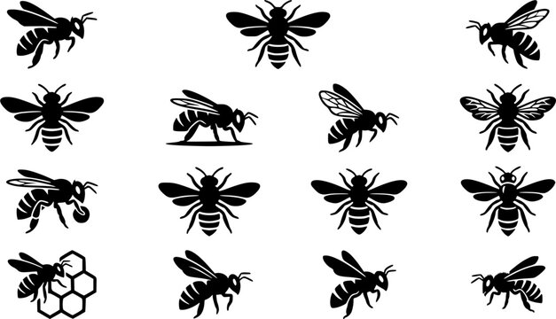 Honey bee silhouette icon set, flat black glyph style, pure white background