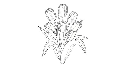 Obraz premium Tulip bouquet, flower illustration, line art, minimalist floral design, black and white