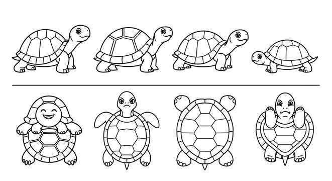 Turtle icons, turtle illustrations, cartoon turtles, 8 turtle graphics, black and white vector turtles