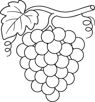 This black-and-white coloring page features a large bunch of grapes hanging from a grapevine branch, complete with a detailed leaf and curly tendrils. 
