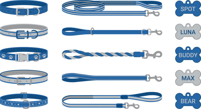 Collection of blue dog collars and leashes with name tags.
