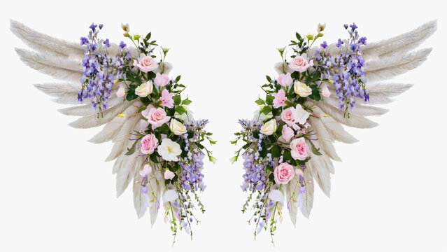 floral angle feather wings on white background.ai 