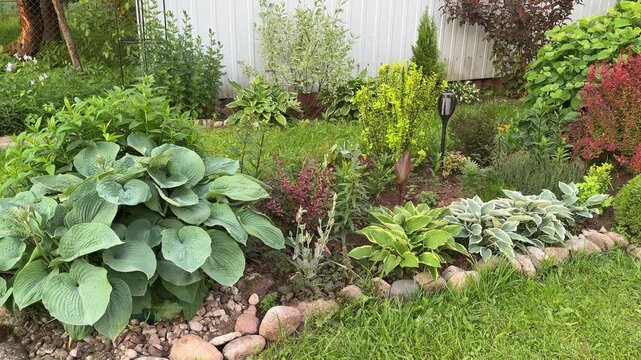 A vibrant garden scene with diverse plants, flowers, and greenery, featuring large hosta leaves, colorful blooms, and a well-manicured lawn with decorative rocks and a solar light.