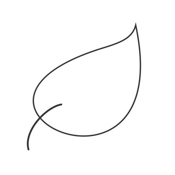 Leaf vetor