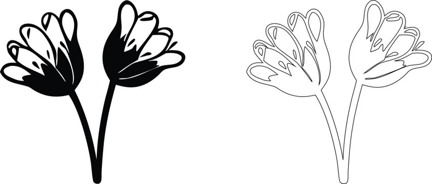 Twin flower blossom set with a solid black silhouette and a matching thin line outline on a white background for