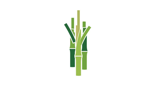 Flat vector illustration of green sugarcane stalks on white background