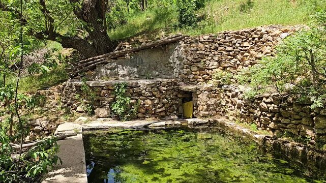 An old gnarled tree shades a stone-walled pool covered in green algae amid spring greenery.
📍 Hawraman Takht, Kurdistan, Iran 