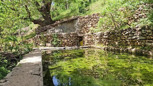 An old gnarled tree shades a stone-walled pool covered in green algae amid spring greenery.
📍 Hawraman Takht, Kurdistan, Iran 