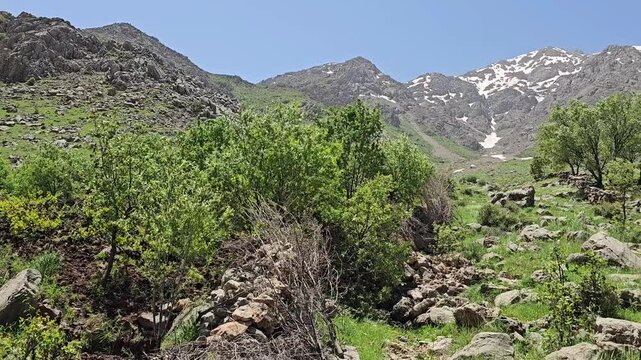 Green orchard trees and boulders scattered across a rocky mountain slope, with patchy snow lingering on distant peaks under clear skies.
📍 Hawraman Takht, Kurdistan, Iran 