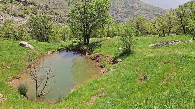 A small pond bordered by boulders sits in a green meadow, with wild trees and distant mountain slopes fading under a spring sky.
📍 Hawraman Takht, Kurdistan, Iran 