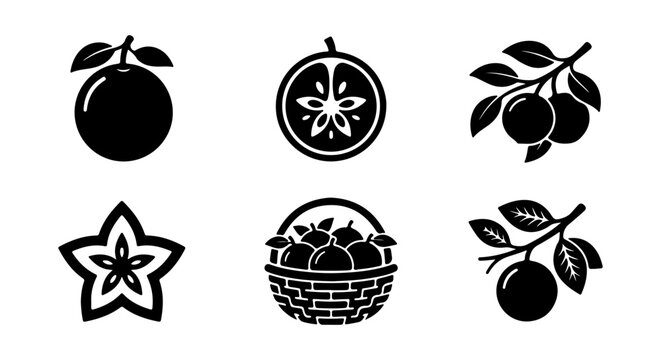 Citrus Fruit Icons Set, Fresh Oranges and Starfruit Vector Graphics, Healthy Food Collection