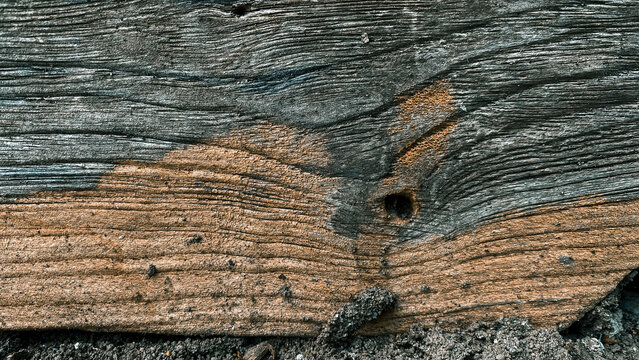 Horizontal macro shot of weathered wood log with deep cracks, natural brown and grey grain, and an insect hole or wood borer damage.
