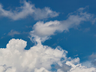 Fototapeta premium Cumulus clouds, or good weather clouds, appear on sunny days and have a soft, cotton-like appearance with a flat base.