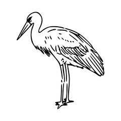 Obraz premium minimalist egret bird line art sketch, elegant crane wildlife illustration
