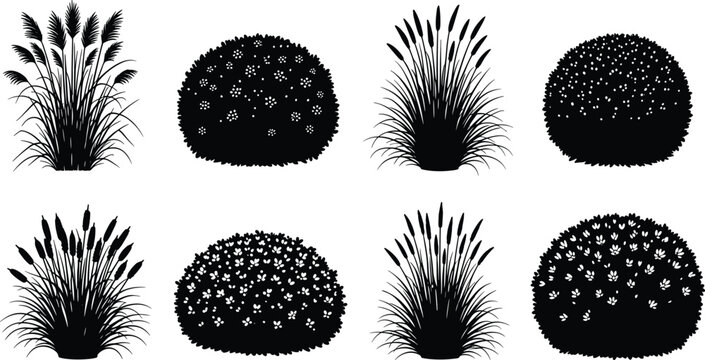 Ornamental grass shrub silhouette vector set, black white botanical clipart, flowering plant illustration, landscape design artwork bundle