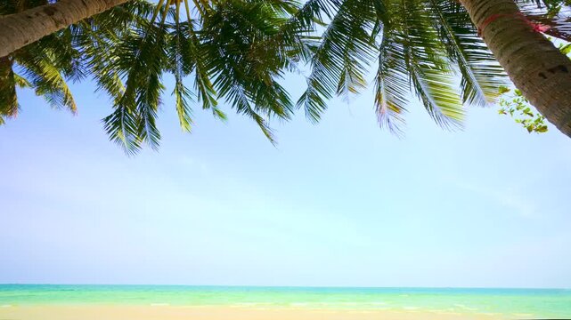 A Perfect Scene of a Tropical Getaway. Golden Sandy Beach, Crystal-clear Turquoise Water. A Sunny Day in Paradise Sets the Tone for Summer Travel. Ideal Backdrop for Vacation and Holiday Imagery