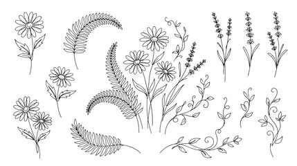 Hand drawn botanical line art collection, minimalist wildflower sketches and fern leaves, black ink floral vector set for wedding invitations © Dream Time Studio