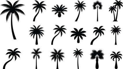 Obraz premium Collection of diverse palm tree silhouettes against a clean white background for tropical designs