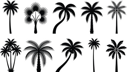 Obraz premium Collection of palm tree silhouettes isolated on white background in vector style