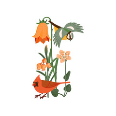 flowers and birds, vector drawing wild plants, blue tit and northern cardinal at white background, hand drawn botanical illustration © cat_arch_angel