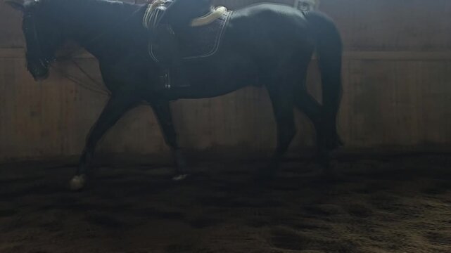 Rider trains a horse in a riding arena during a sunny afternoon in a barn setting