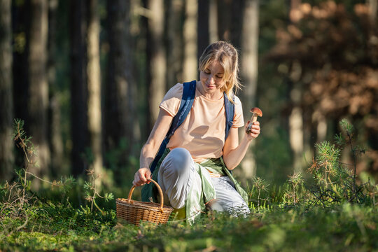 Cheerful relaxed woman forager collecting porcini mushrooms in wicker basket kneeling on ground in forest, happy female hiker holding Boletus edulis mushroom, enjoying seasonal natural food harvesting