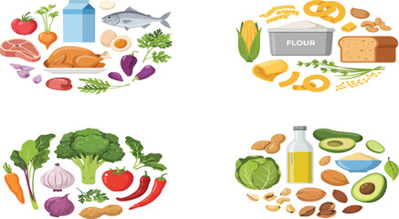 Obraz premium Four nutritional categories infographic showing protein, carb, fiber, and fat food sources