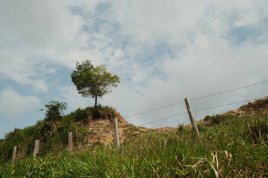 Colina