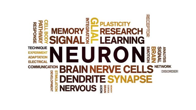 Neuron animated word cloud-text design animation tag kinetic typography seamless loop.