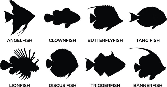 Tropical Fish Silhouette Collection Featuring Angelfish Clownfish Butterflyfish Tang Fish Lionfish Discus Triggerfish and Bannerfish Set