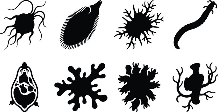 Microorganism and Protozoa Silhouette Icon Set with Microbes Cells and Parasite Shapes