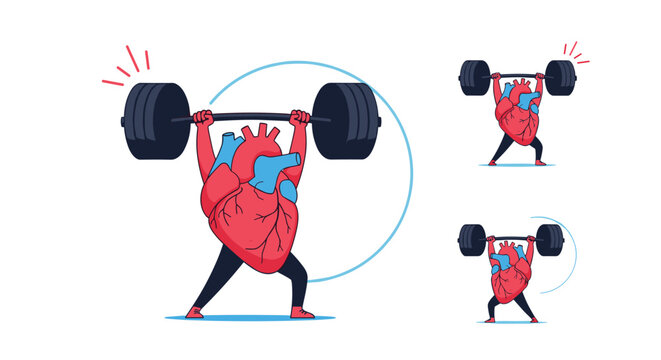 Strong anatomical heart cartoon character lifting a heavy barbell representing healthy cardiac strength.