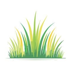 Fototapeta premium Close-up of fresh green and yellow grass blades