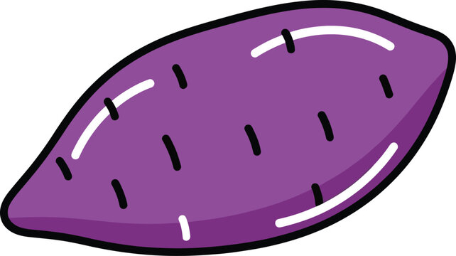 Purple sweet potato vector illustration, whole organic yam with hand drawn cartoon style, fresh raw vegetable icon for healthy food menu design