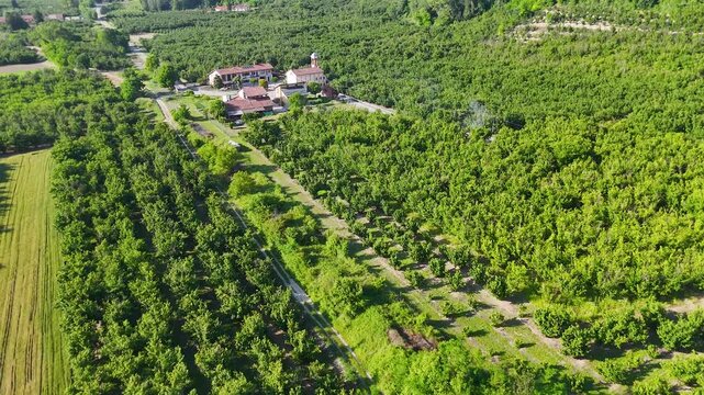 Aerial View of Lush Vineyards and Farmhouse in Piedmont Italy