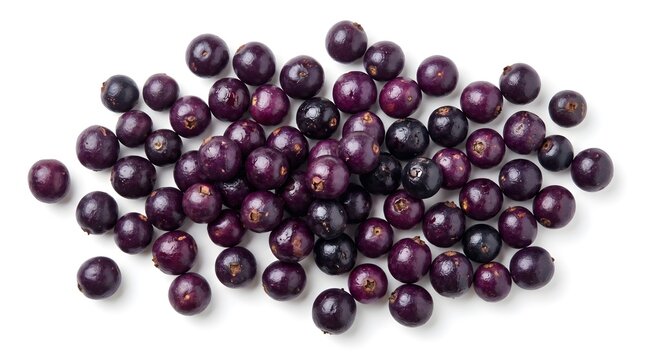 Fresh Bignay berries, Antidesma bunius, isolated on white background