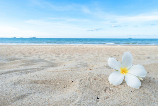 Beautiful Tropical Beach with Clear Blue Sea and Sandy Shore in Summer