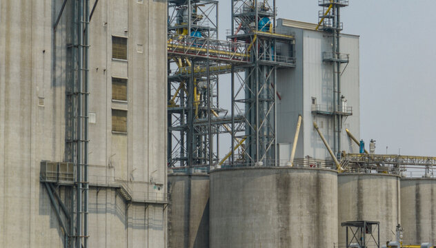 Animal feed factory. Agricultural silos, grain storage silos. Agriculture industry. Rural agribusiness. Grain storage innovation. Agricultural silos at animal feed factory. Sustainable farming.