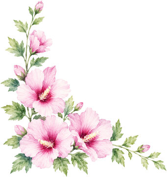 South Korea National Flower Rose of Sharon Watercolor Illustration, Korean Mugunghwa Hibiscus Corner Decoration Isolated on Black Background, National Holiday Graphic Asset