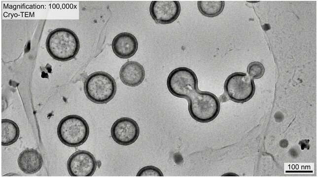 Macro photo of high-resolution cryo-tem (transmission electron microscope) showing cryo-transmission electron microscopy showing frozen hydrated biological virus macromolecular structure specimen