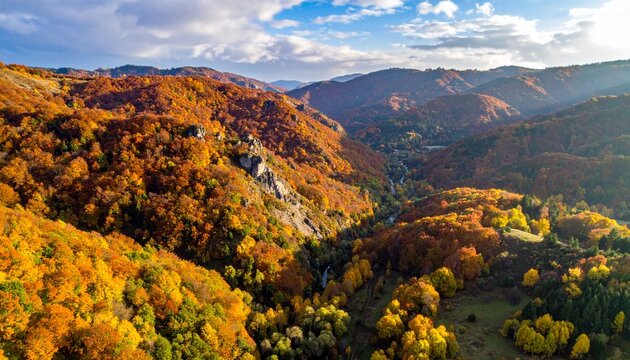 aerial view of autumn mountains with colorful trees