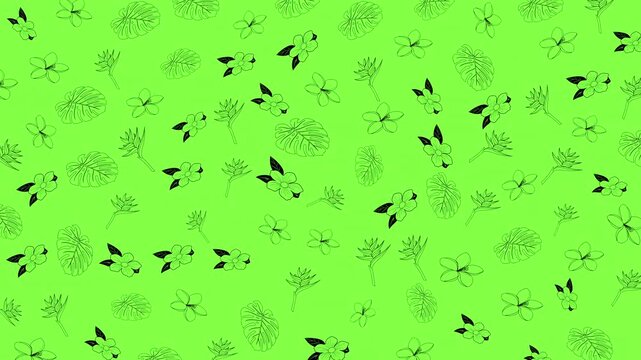 Seamless looping tropical botanical pattern animation featuring monstera leaves, plumeria flowers, and exotic foliage on a vibrant green background. Perfect for summer and nature-themed visuals.
