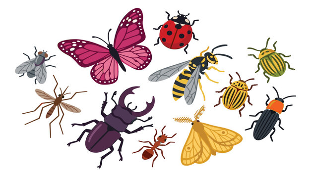 Insects and garden bugs flat vector illustration collection. Butterfly, ladybug, beetle, wasp, moth, ant, mosquito, fly and nature.