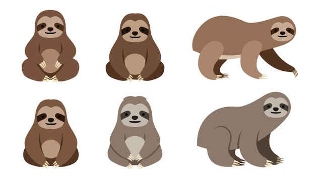 Collection of cute cartoon sloths in different poses, isolated on white background.