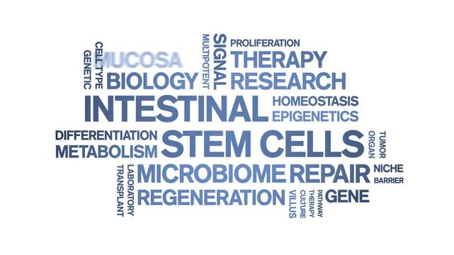 intestinal Stem Cells animated word cloud-gross domestic product animation tag kinetic typography seamless loop.