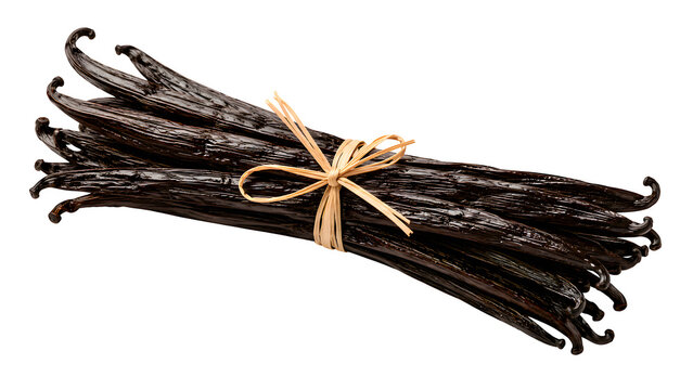 Whole Vanilla Beans Bundle Transparent PNG with Glossy Dark Brown Pods and Natural Texture